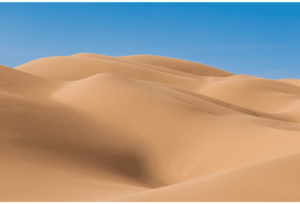 Dunes 5