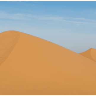 Dunes 6
