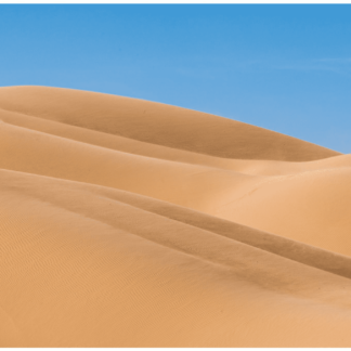 Dunes 4