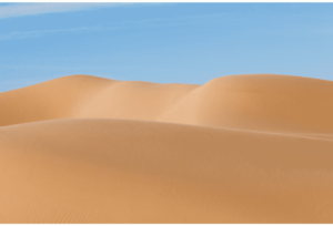 Dunes 2