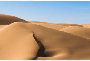 Dunes 13