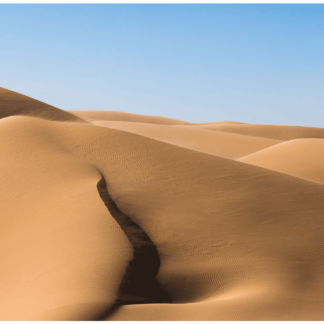 Dunes 13