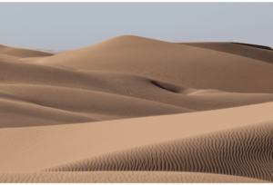 Dunes 11