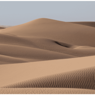 Dunes 11
