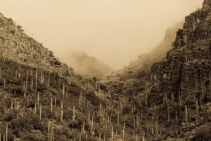 Arizona Postcards 1