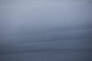 WA 3997-319