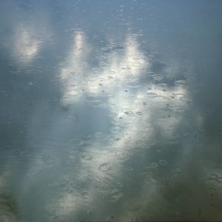WA 006262