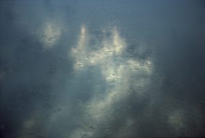 WA 000886
