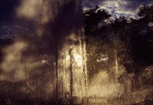 Fountain of Youth