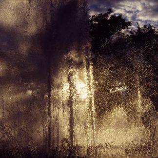 Fountain of Youth