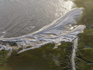 Oyster Bank