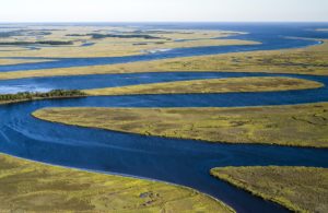 ACE Basin
