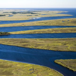 ACE Basin
