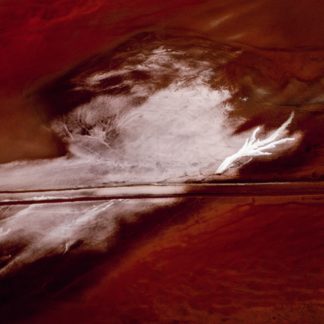 J Henry Fair, "Aluminum, Point Comfort", chromogenic print