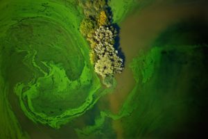 Herbicide