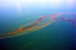 Oil on Water