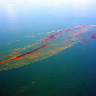 Oil on Water