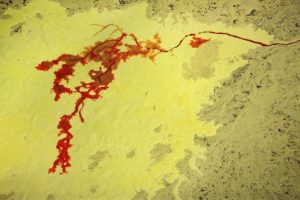 Molten Sulphur
