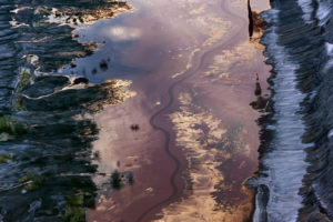 Ash River