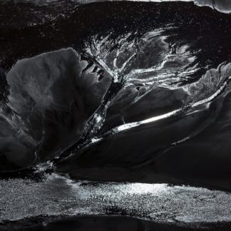 Dendrite
