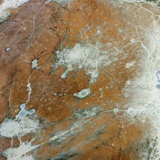 Pollock