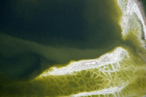 Untitled Fertilizer Waste