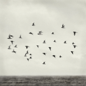 Song Above Water