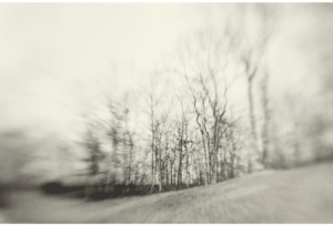 Dream of Solitude