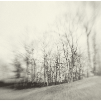 Dream of Solitude