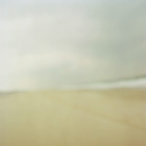Water Scapes 101