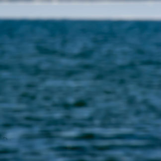 Water Scapes 078