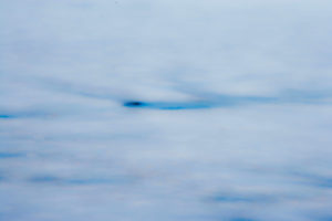 Water Scapes 059