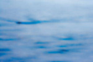 Untitled 2011.DI.00452
