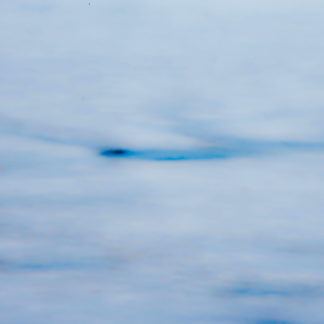 Untitled 2011.04.DI.00450