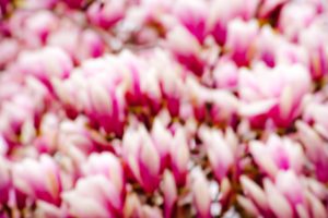 Untitled 2011.04.0107