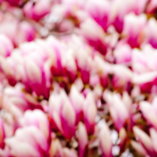 Untitled 2011.04.0107