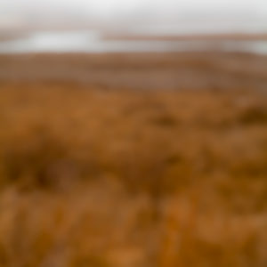 Still 2012.04.DI.00113