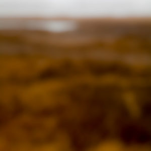Still 2012.04.DI.00108