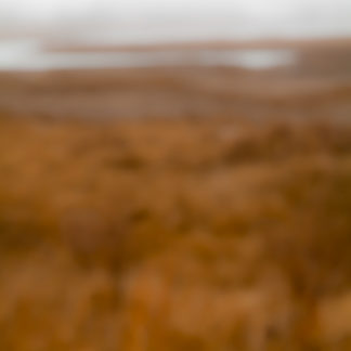 Still 2012.04.DI.00110