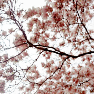 Still 2004.01.27.03