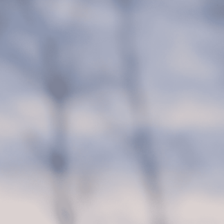 Landscape 47