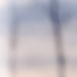 Landscape 45