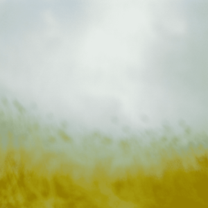 Landscape 40