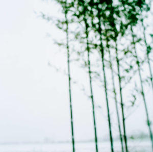 Landscape 076