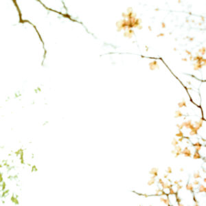 Landscape 078
