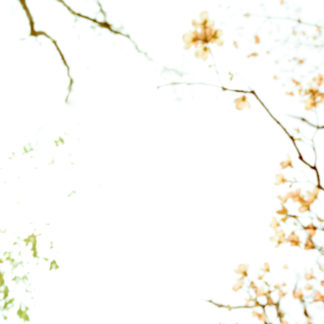 Landscape 078