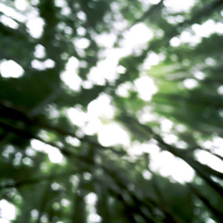 Landscape 063