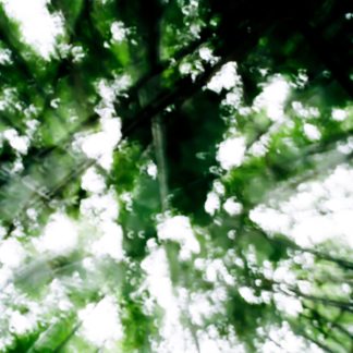 Landscape 065