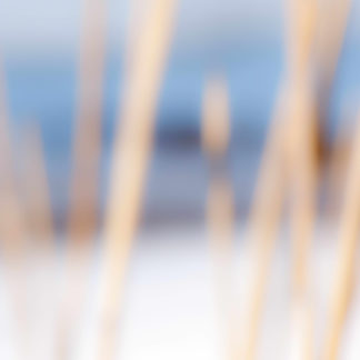 Landscape 054