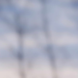 Landscape 047